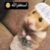 user7718672341247
