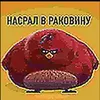 nasral_v_rakoviny1