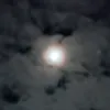 travka308