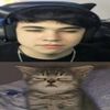 frodexz0