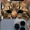 nic._waznego0