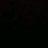 a_jeffrysufaat