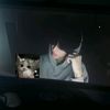 dapaa1.1