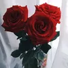 الہحہيہاة رحہلہة