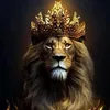 miansharry190offical