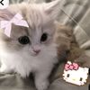 asminka67