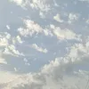 0lili_0lili