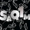 saq1mov