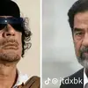 aboodabood8639