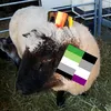 ricardahamper