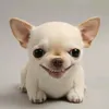 sm.0.o