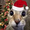 nqvt_11