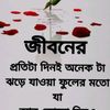 user26620013785042