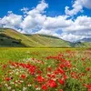 ghizlanghizlan042