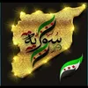 user8812113688680