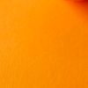 chell_live_archive