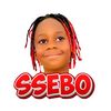 SSEBO
