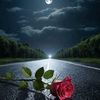 munir.ahmad0096