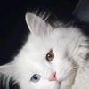 moner.ahmad91