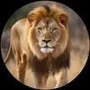 raheel.abbas007