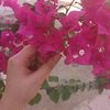 arwa1314h37