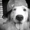 mipli_23