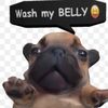 iampibblewasmybelly08