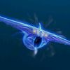 subnautica529