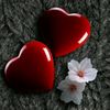 user9538107729797