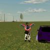 xann_redbull