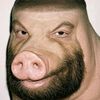 samu100598