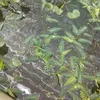 thanhthuongthanht41