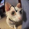 sigmaboymewing25