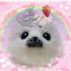 angelicpuppiii