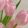 ruth.bbbon19mnb