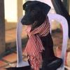 rathana_00