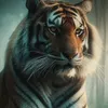 thuy.nguyenngoc0