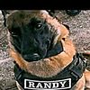 i_am_randy3