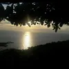 minh.tran68686