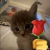 tiyan_tiii
