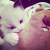 the1nonlymee__