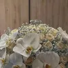 aya.almaayouf