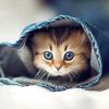 ruby.seif0