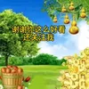 xinkuanshennin
