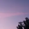 qun.tran016