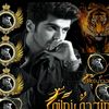 user4458184952613