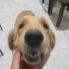 bjirrrrrtt2