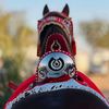 semoo_2011_1_13