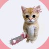 user29284399942