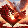 israt.jahan.rima94
